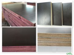 Shuttering Film Faced Plywood S